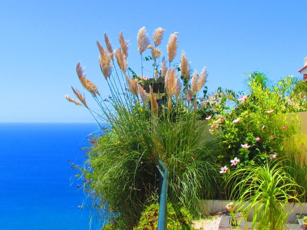 Casa Serena Apartments Arco da Calheta  Exteriör bild
